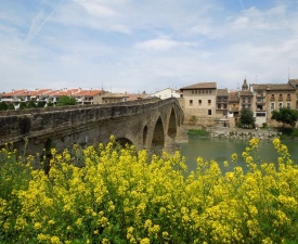 June 2013 Puente la Reina